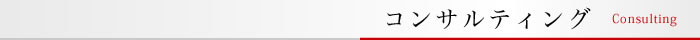 コンサルティング